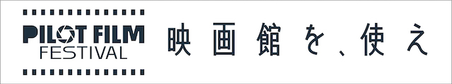 P-FES